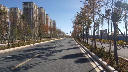 東旭駿城市政道路